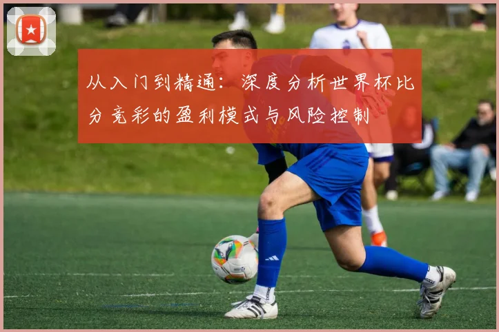从入门到精通：深度分析世界杯比分竞彩的盈利模式与风险控制