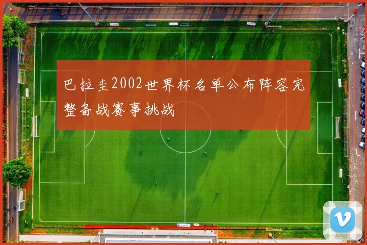 巴拉圭2002世界杯名单公布阵容完整备战赛事挑战